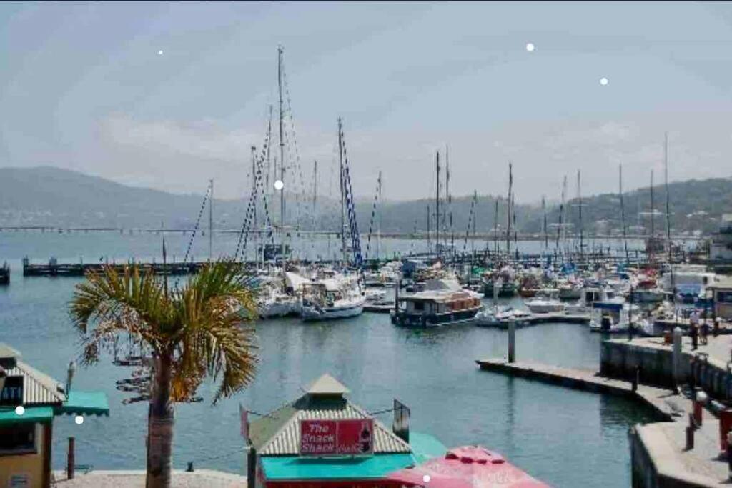 Perfect Knysna Getaway - Little Nest Studio 아파트 외부 사진