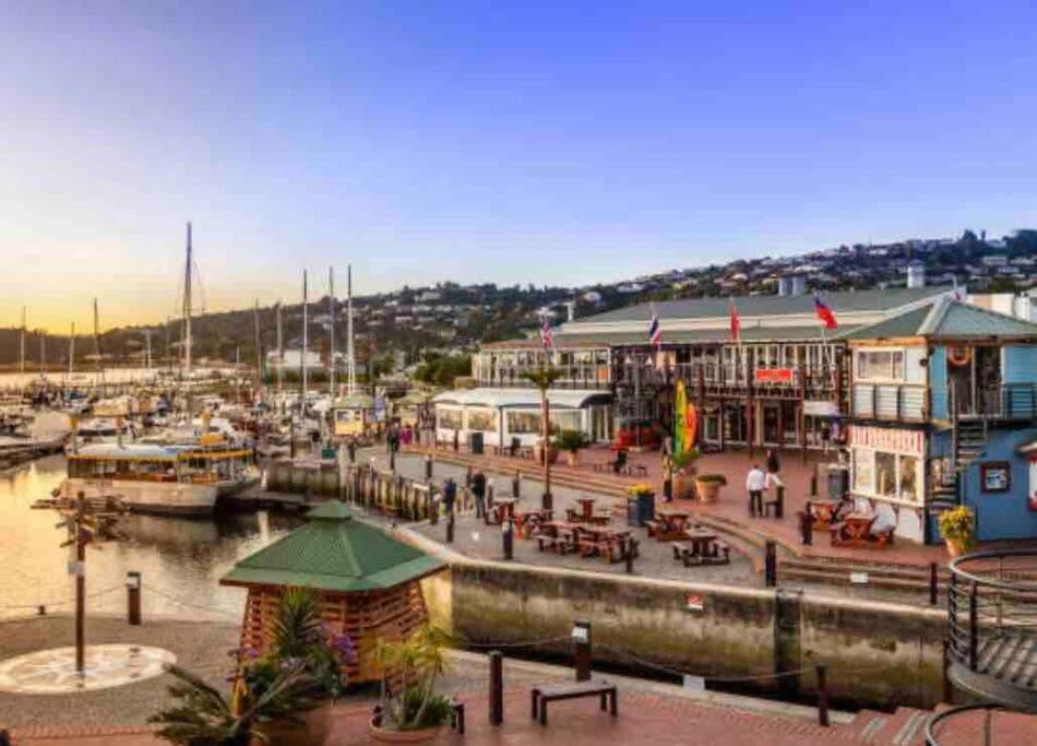 Perfect Knysna Getaway - Little Nest Studio 아파트 외부 사진